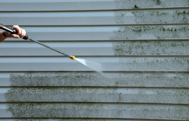 Best Roof Pressure Washing  in Harris Hill, NY