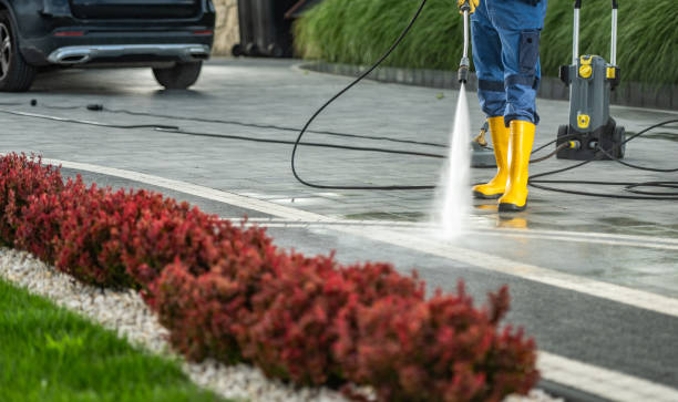 Best Residential Pressure Washing Services  in Harris Hill, NY