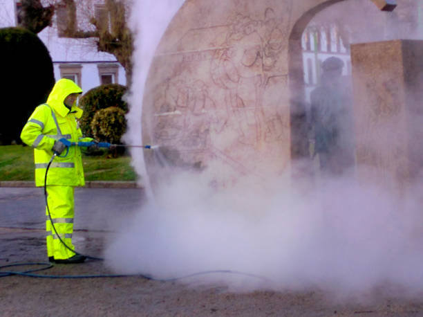 Best Power Washing Near Me  in Harris Hill, NY
